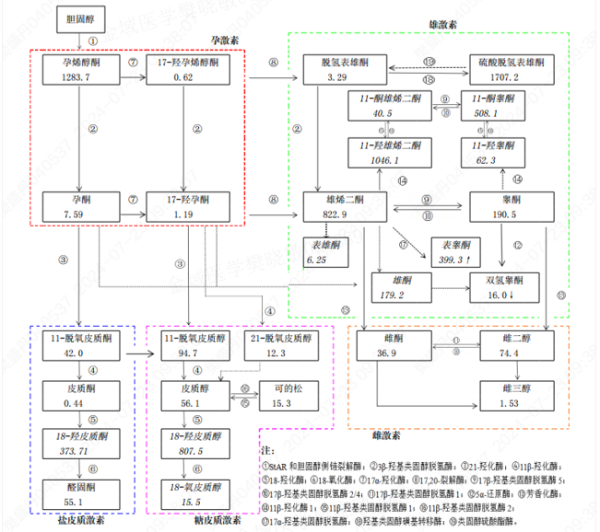 宜人配资 精准解开激素密码，金域质谱破解复杂内分泌疾病诊疗难题