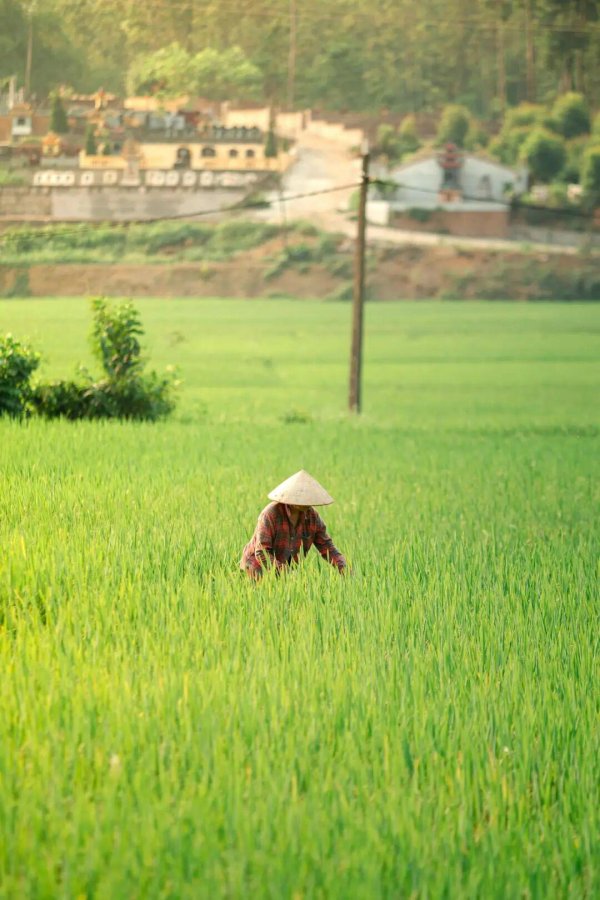浩源配资 正在消失的中国美食！