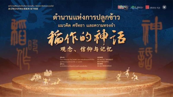 优选策略 “稻作的神话”来到泰国曼谷