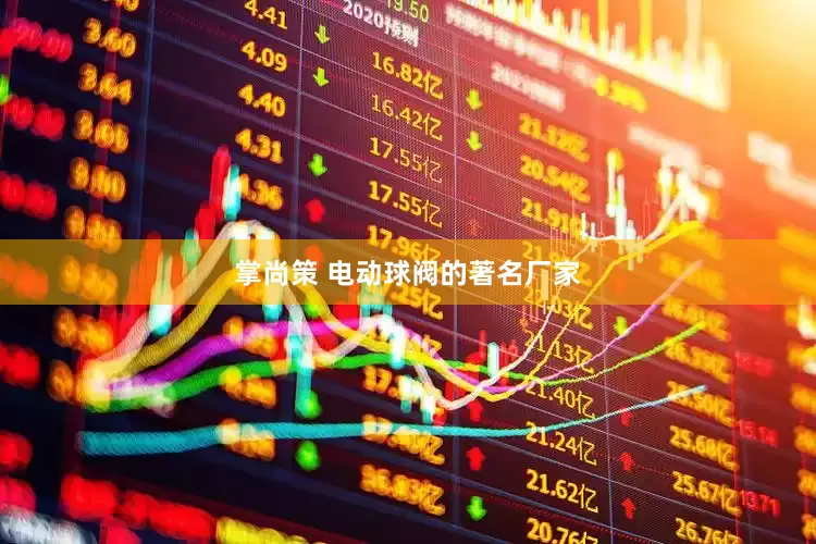 掌尚策 电动球阀的著名厂家